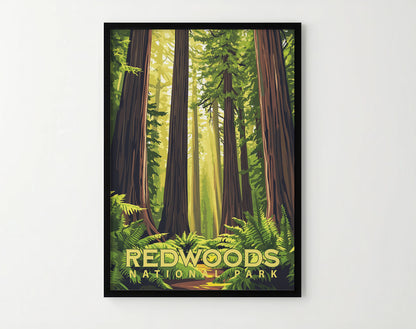 Redwoods National Park Travel Poster