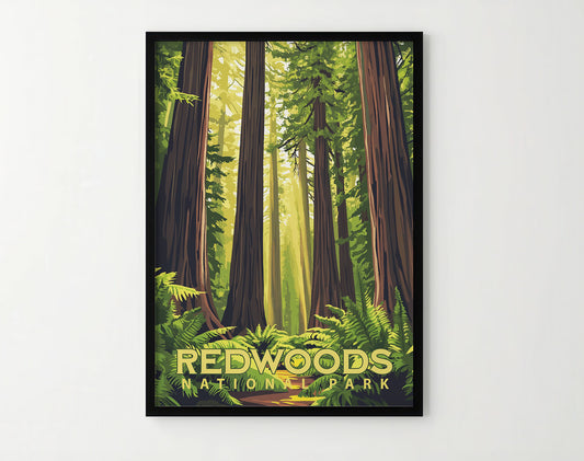 Redwoods National Park Travel Poster